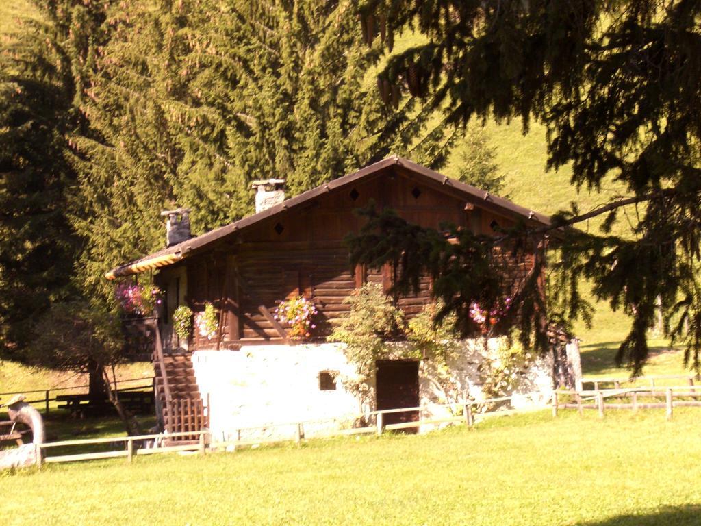 Albergo Alpino Vermiglio Ngoại thất bức ảnh
